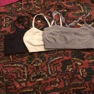 Jasmine and ginger sports bras